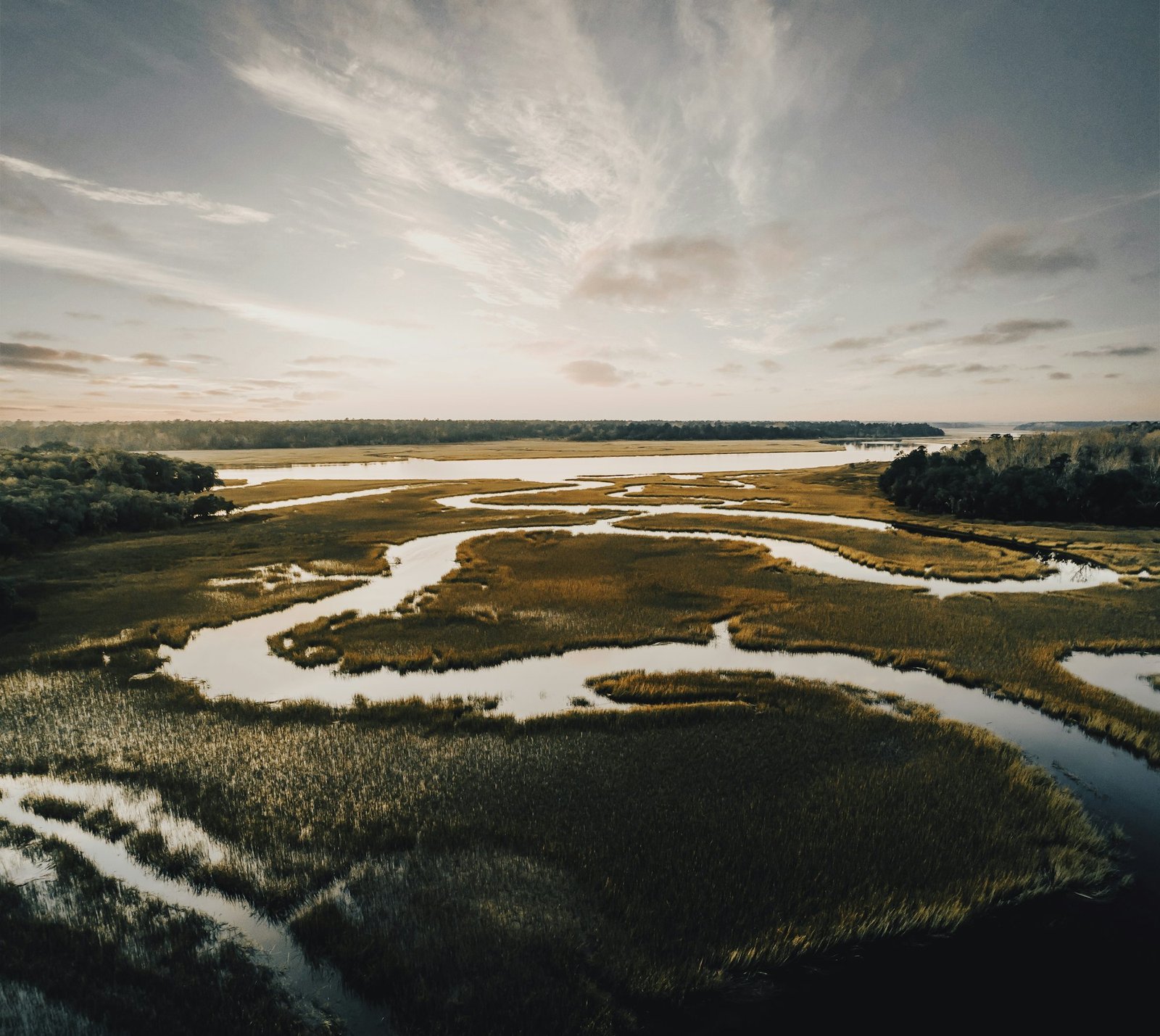 Calm marsh landscape at golden hour